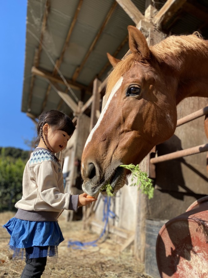 「大きなおともだち」 はっさく