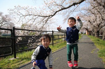 「双子と桜」 あおはやママ