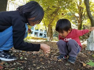 「秋を探しに」 なっちゃんとともくん