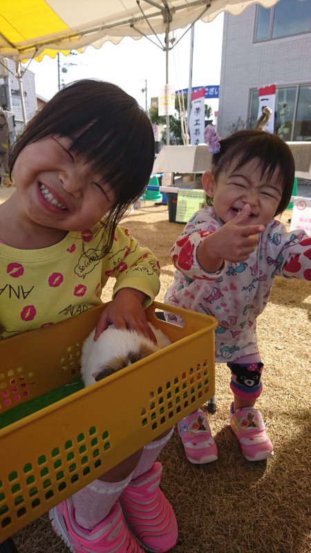 「モルモットとにっこり」 かないろちゃん