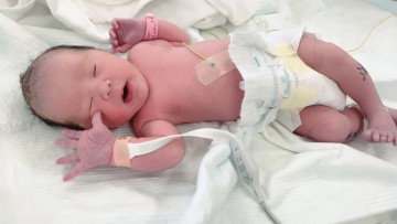 「こんにちは。新しい命」 みなと