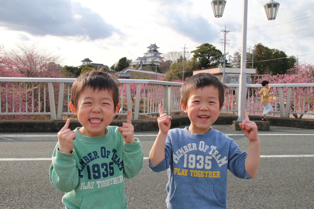 「掛川城と桜と双子」 あおはやママ