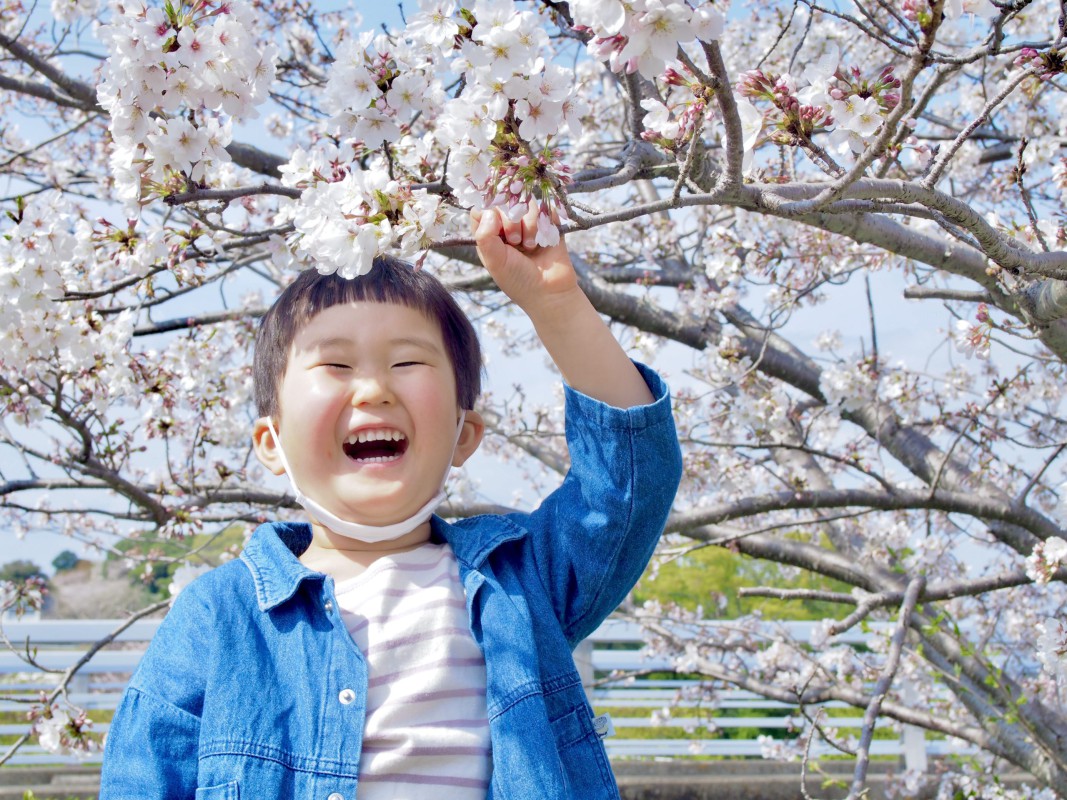 「笑顔も桜も満開!」 みーちゃん